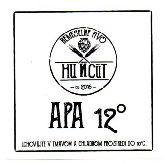 Apa 1